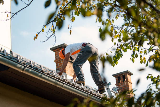 Asphalt Shingles Roofing in Watertown, WI